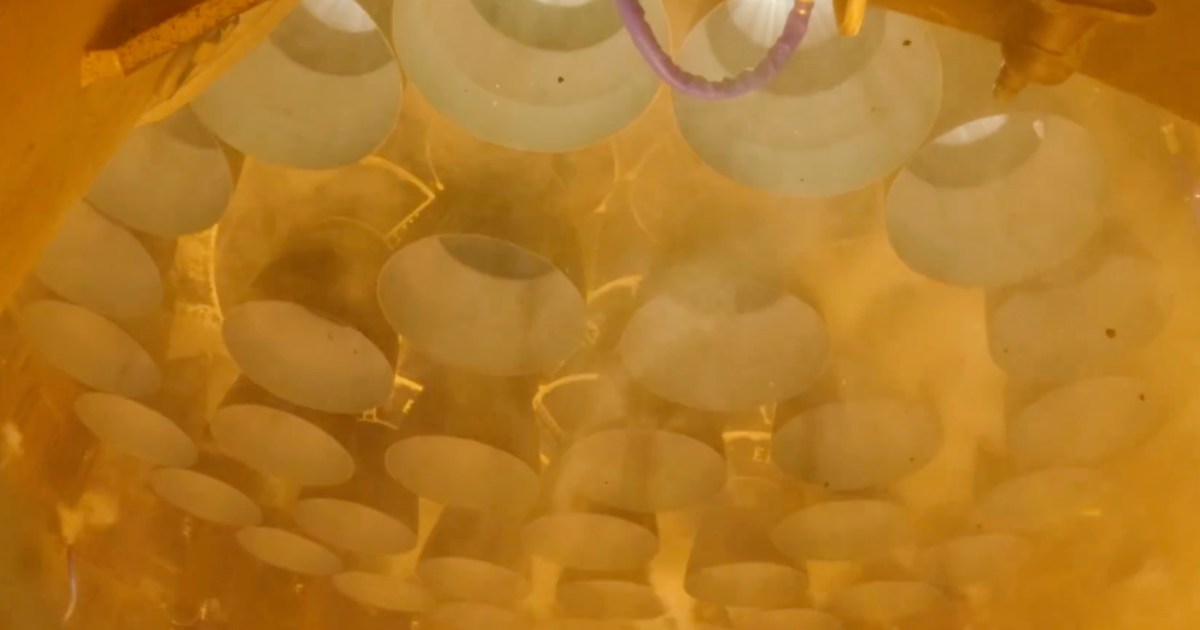 SpaceX shares stunning close-up footage of Starship engines firing up on 8th flight test