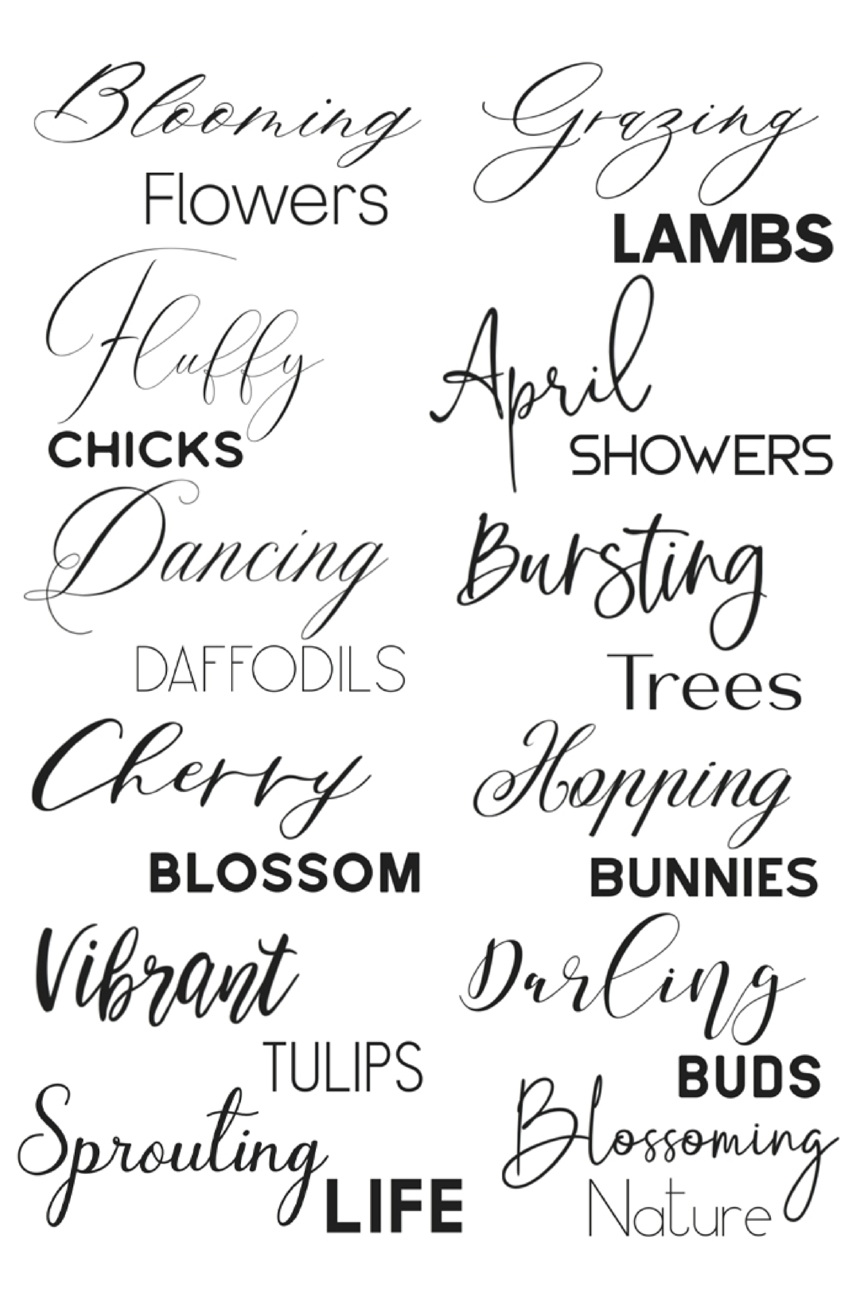 12 Best Calligraphy Font Pairings